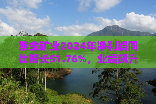 紫金矿业2024年净利润同比增长51.76%，业绩飙升背后的驱动力与前景展望