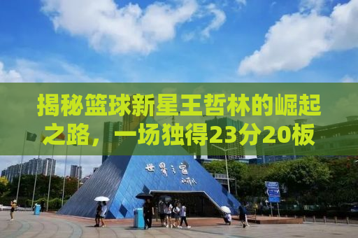 揭秘篮球新星王哲林的崛起之路，一场独得23分20板3断1帽的辉煌之战